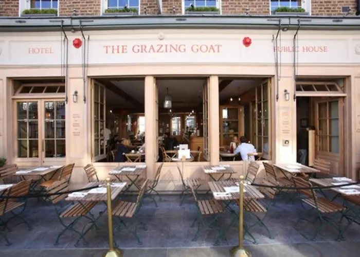 The Grazing Goat